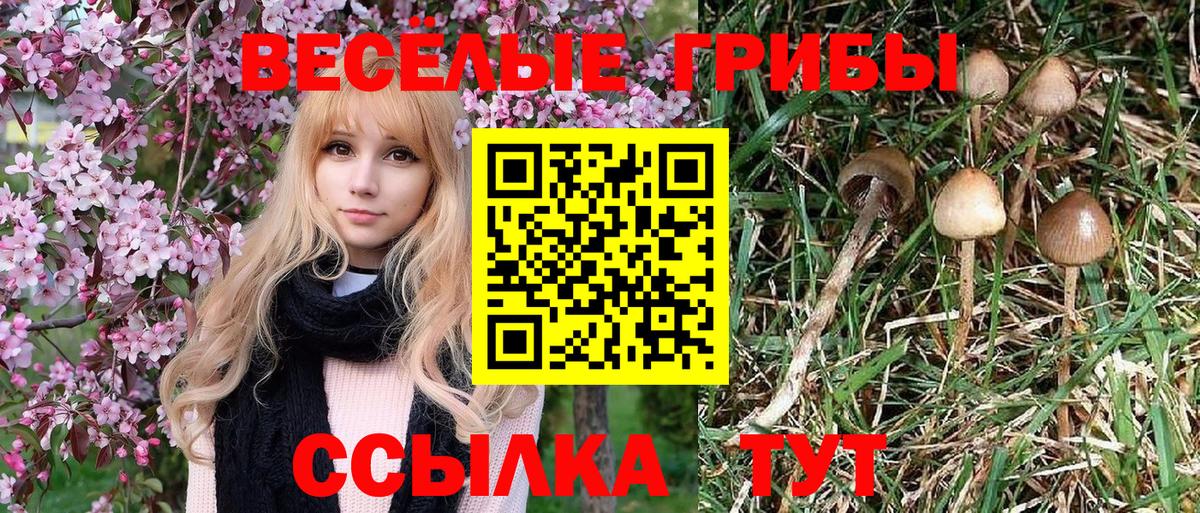 Галлюциногенные грибы MAGIC MUSHROOMS Кудрово